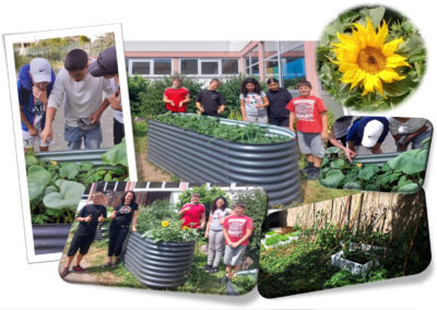 Die mehrteilige Collage zeigt im Zentrum Schülergruppen und eine Lehrerin im sonnigen Schulgarten, die sich um große, wellblechartig geschwungene, dunkelgraue Hochbeete mit üppigen grünen Nutzpflanzen versammelt haben. Kleinere Detailaufnahmen am Rand dokumentieren Jugendliche beim genauen Beobachten der Blätter und gelben Blüten, eine Nahaufnahme einer leuchtend gelben Sonnenblume sowie weitere bepflanzte Gartenbereiche vor dem Schulgebäude.
